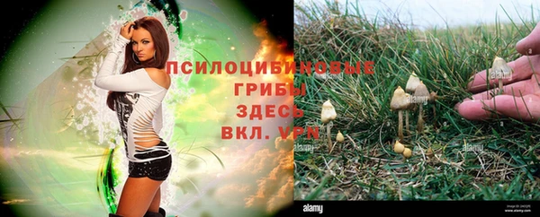 соль ск Балабаново