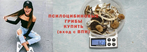 гашик Балахна